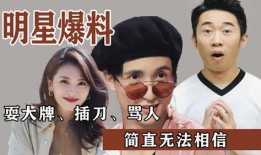 娱乐圈爆料渠道是什么,揭秘幕后真相与内幕